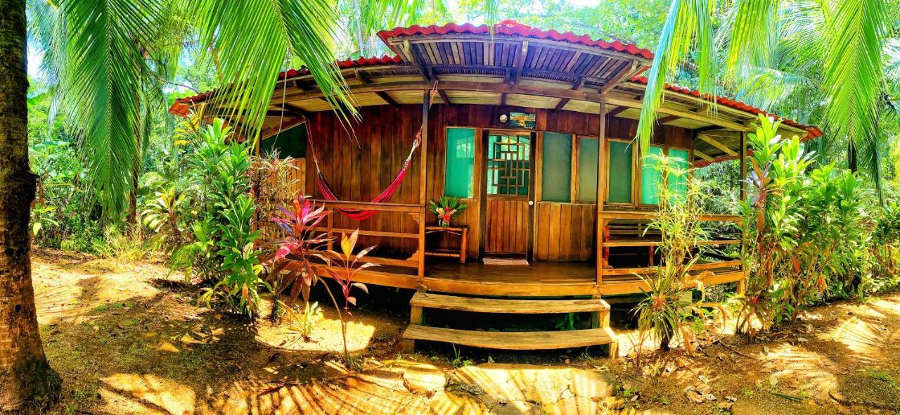 Ocean Forest Ecolodge San Pedrillo Exterior foto