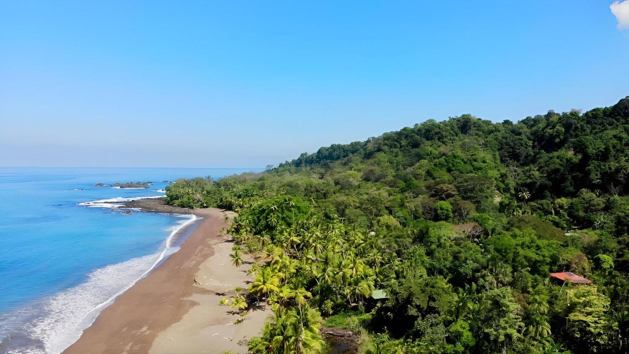 Ocean Forest Ecolodge San Pedrillo Exterior foto